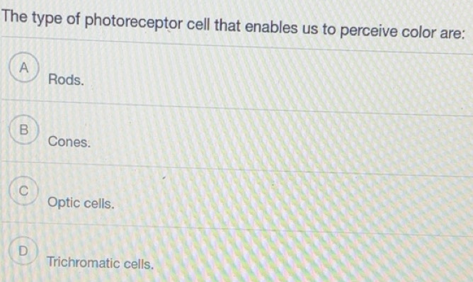 Solved: The type of photoreceptor cell that enables us to perceive ...