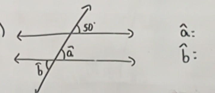 widehat a=
widehat b=