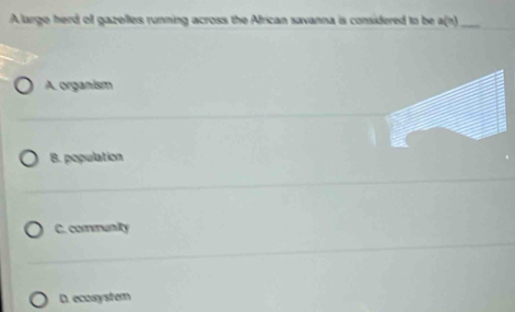 A large herd of gazelles running across the African savanna is considered to be a(n) _
A. organism
B. population
C. community
D. ecasystern