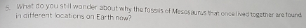 What do you still wonder about why the fossils of Mesosaurus that once lived together are found 
in different locations on Earth now?