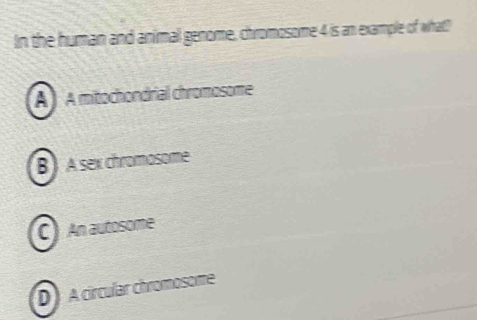 In the human and animal genome, chromosome 4 is an example of what!
A ) A mitochondrial chromosome
B) Asex chromosome
C) An autosome
D A círcular chromosome