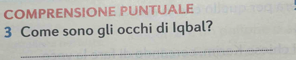 COMPRENSIONE PUNTUALE 
3 Come sono gli occhi di Iqbal? 
_