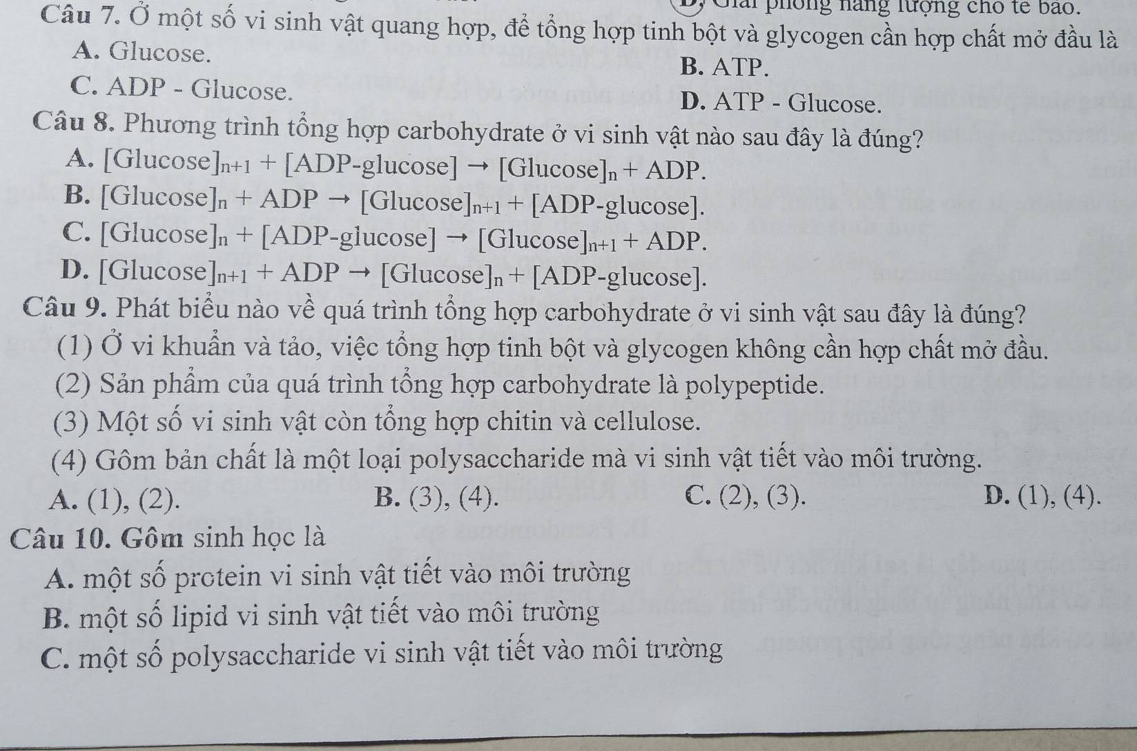 Giải phông nàng lượng cho tế bão.
Câu 7. Ở một số vi sinh vật quang hợp, để tổng hợp tinh bột và glycogen cần hợp chất mở đầu là
A. Glucose.
B. ATP.
C. ADP - Glucose. D. ATP - Glucose.
Câu 8. Phương trình tổng hợp carbohydrate ở vi sinh vật nào sau đây là đúng?
A. [Gluco: se ]_n+1+[ADP-glucos e]to [Glucos e]_n+ADP.
B. [Glucose ]_n+ADPto [Glucos e]_n+1+[ADP-glucos e].
C. [Glucose ]_n+[ADP-glucos e]to [Glucos e]_n+1+ADP.
D. [Glucose ]_n+1+ADPto [Glucos e]_n+[ADP-glucos e]
Câu 9. Phát biểu nào về quá trình tổng hợp carbohydrate ở vi sinh vật sau đây là đúng?
(1) Ở vi khuẩn và tảo, việc tổng hợp tinh bột và glycogen không cần hợp chất mở đầu.
(2) Sản phẩm của quá trình tổng hợp carbohydrate là polypeptide.
(3) Một số vi sinh vật còn tổng hợp chitin và cellulose.
(4) Gôm bản chất là một loại polysaccharide mà vi sinh vật tiết vào môi trường.
A. (1), (2). B. (3), (4). C. (2), (3). D. (1), (4).
Câu 10. Gôm sinh học là
A. một số protein vi sinh vật tiết vào môi trường
B. một số lipid vi sinh vật tiết vào môi trường
C. một số polysaccharide vi sinh vật tiết vào môi trường