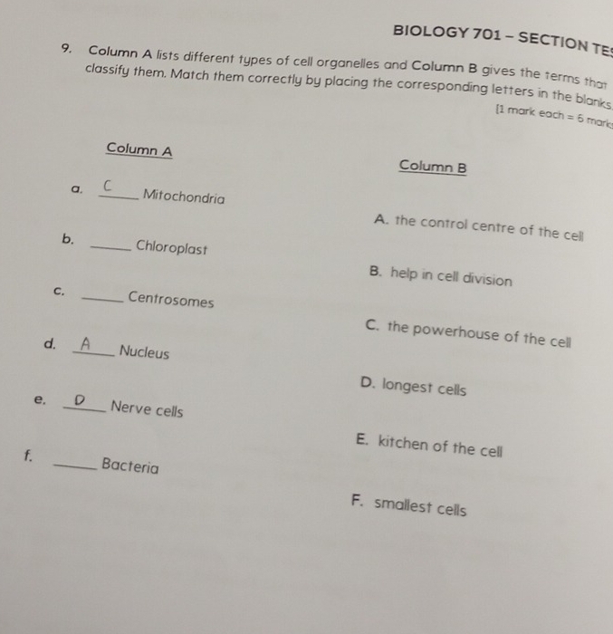 BIOLOGY 701 - SECTION TE
9. Column A lists different types of cell organelles and Column B gives the terms that
classify them. Match them correctly by placing the corresponding letters in the blanks
[1 mark each =6 mark
Column A Column B
a. _Mitochondria
A. the control centre of the cell
b. _Chloroplast B. help in cell division
C. _Centrosomes C. the powerhouse of the cell
d. _Nucleus
D. longest cells
e. D
_Nerve cells
E. kitchen of the cell
f. _Bacteria
F. smallest cells