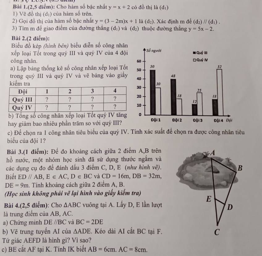 Bài 1.(2,5 điểm): Cho hàm số bậc nhất y=x+2 có đồ thị là (dī)
1) Vẽ đồ thị (dị) của hàm số trên.
2) Gọi đồ thị của hàm số bậc nhất y=(3-2m)x+1 là (d_2). Xác định m để (d_2)parallel (d_1).
3) Tìm m để giao điểm của đường thẳng (d_1) và (d_2) thuộc đường thẳng y=5x-2.
Bài 2.(2 điểm):
Biểu đồ kép (hình bên) biểu diễn số công nhân
xếp loại Tốt trong quý III và quý IV của 4 đội
công nhân. 
a) Lập bảng thống kê số công nhân xếp loại Tốt
trong quý III và quý IV và vẽ bảng vào giấy
kiểm tra
b) Tổng số công nhân xếp loại Tốt quý IV tăng
hay giảm bao nhiêu phần trăm so với quý III?
c) Để chọn ra 1 công nhân tiêu biểu của quý IV. Tính xác suất để chọn ra được công nhân tiêu
biểu của đội 1?
Bài 3.(1 điểm): Để đo khoảng cách giữa 2 điểm A,B trên
hồ nước, một nhóm học sinh đã sử dụng thước ngắm và
các dụng cụ đo đề đánh dấu 3 điểm C, D, E (như hình vẽ).
Biết ED//AB,E∈ AC,D∈ BC và CD=16m,DB=32m,
DE=9m. Tính khoảng cách giữa 2 điểm A, B.
(Học sinh không phải vẽ lại hình vào giấy kiểm tra)
Bài 4.(2,5 điểm): Cho △ ABC vuông tại A. Lấy D, E lần lượt
là trung điểm của AB, AC.
a) Chứng minh DEparallel BC và BC=2DE
b) Vẽ trung tuyến AI của △ ADE. Kéo dài AI cắt BC tại F.
Tứ giác AEFD là hình gì? Vì sao?
c) BE cắt AF tại K. Tính IK biết AB=6cm.AC=8cm.