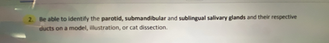 Be able to identify the parotid, submandibular and sublingual salivary glands and their respective 
ducts on a model, illustration, or cat dissection.