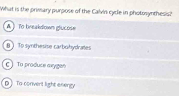 What is the primary purpose of the Calvin cycle in photosynthesis?
A To breakdown glucose
B To synthesise carbohydrates
C To produce axygen
D To convert light energy