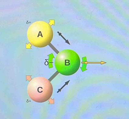 δ+
A
δ- B
C
δ+