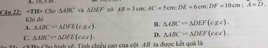 16,5 m.
Câu 22: ∠ TH> Cho △ ABC và △ DEF có AB=3cm; AC=5cm; DE=6cm; DF=10cm; widehat A=D.
Khi đó
A. △ ABC∽ △ DFE(c.g.c).
B. △ ABC∽ △ DEF(c.g.c).
C. △ ABC∽ △ DFE(c.c.c).
D. △ ABC∽ △ DEF(c.c.c).
∠ VD> Cho hình vẽ, Tính chiều cao của cột AB ta được kết quả là