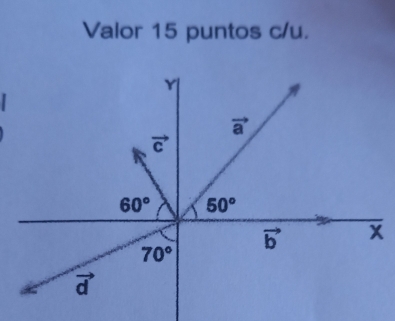 Valor 15 puntos c/u.