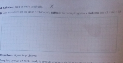 Calculo el área de cada cuadrado. 
Con los valores de los lados del triángulo aplico la fórmula pitagórica y deduzco que c2=a2+b2
Resuelvo el siguiente problema. 
Se quiere colocar un cable desde la cima de una tarre de 25