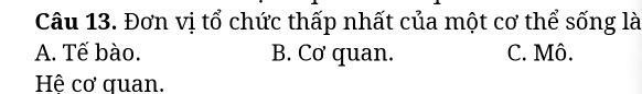 Đơn vị tổ chức thấp nhất của một cơ thể sống là
A. Tế bào. B. Cơ quan. C. Mô.
Hê cơ σuan.