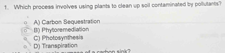 Which process involves using plants to clean up soil contaminated by pollutants?
A) Carbon Sequestration
B) Phytoremediation
C) Photosynthesis
D) Transpiration
a carbon sink ?