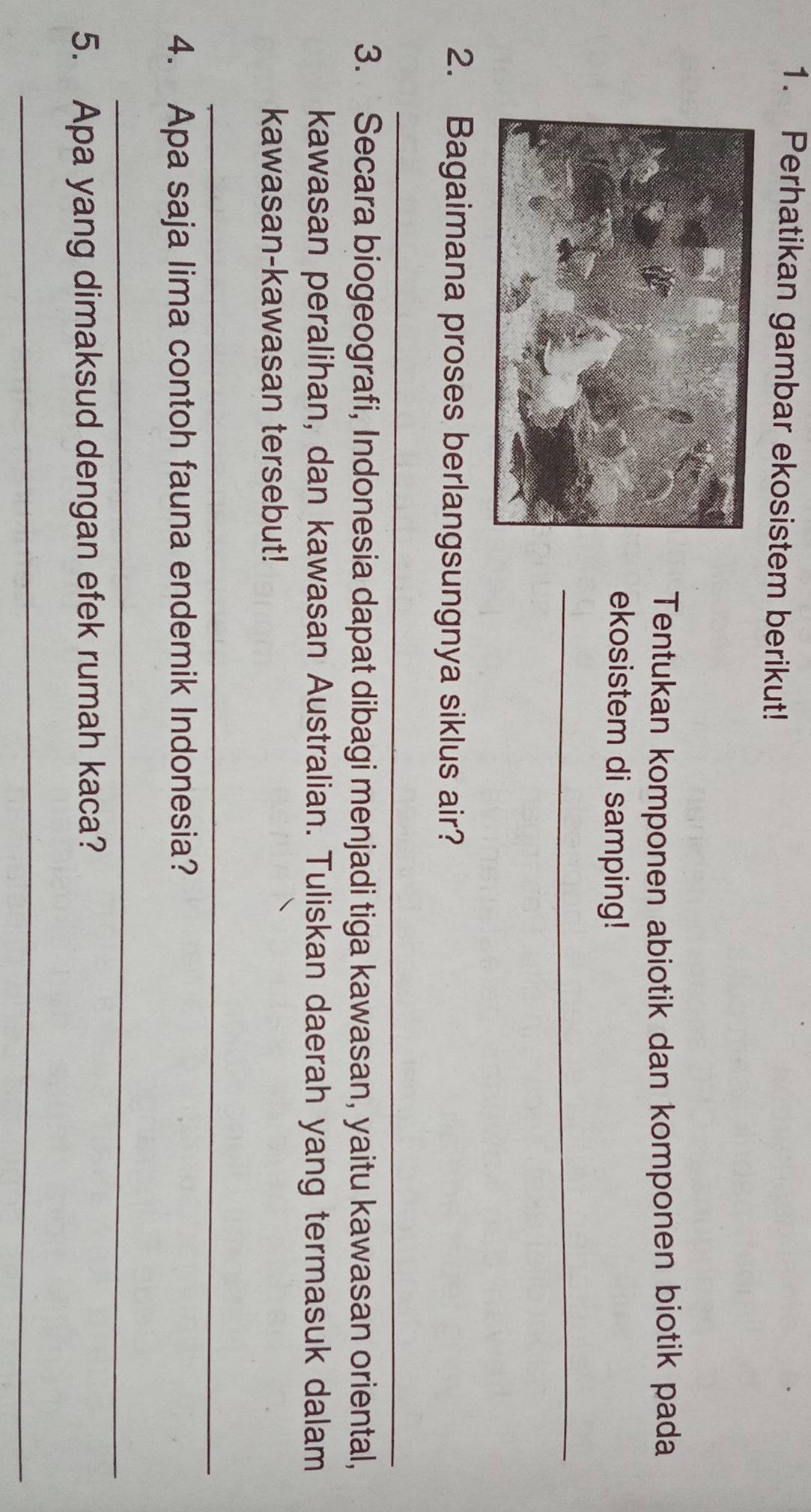 Perhatikan gambar ekosistem berikut! 
Tentukan komponen abiotik dan komponen biotik pada 
ekosistem di samping! 
_ 
2. Bagaimana proses berlangsungnya siklus air? 
_ 
3. Secara biogeografi, Indonesia dapat dibagi menjadi tiga kawasan, yaitu kawasan oriental, 
kawasan peralihan, dan kawasan Australian. Tuliskan daerah yang termasuk dalam 
kawasan-kawasan tersebut! 
_ 
4. Apa saja lima contoh fauna endemik Indonesia? 
_ 
5. Apa yang dimaksud dengan efek rumah kaca? 
_