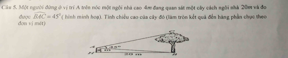 Cầâu 5. Một người đứng ở vị trí A trên nóc một ngôi nhà cao 4m đang quan sát một cây cách ngôi nhà 20m và đo 
được widehat BAC=45° ( hình minh hoạ). Tính chiều cao của cây đó (làm tròn kết quả đến hàng phần chục theo 
đơn vị mét)