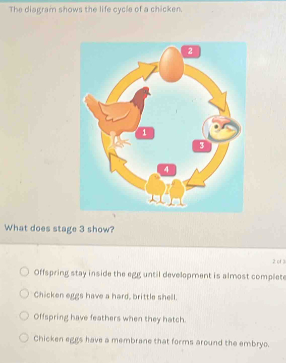 Solved: The diagram shows the life cycle of a chicken. What does stage ...
