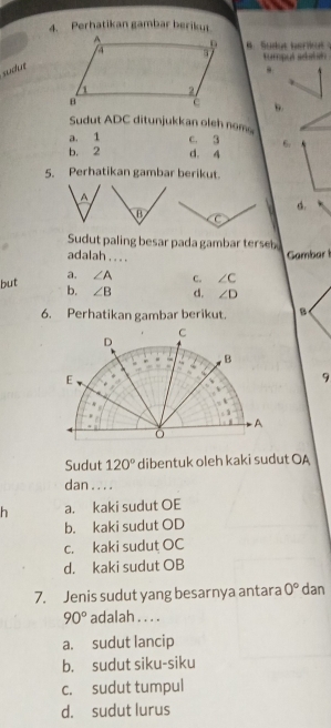 Perhatikan gambar berikut
B Sudut he i 
tumput adatsh .
suddt
.
b
Sudut ADC ditunjukkan oleh nom
a. 1 c. 3 6.
b. 2 d. 4
5. Perhatikan gambar berikut.
A
d.
B C
Sudut paling besar pada gambar terseb
adalah ._ Gambar
a. ∠ A C. ∠ C
but b. ∠ B d. ∠ D
6. Perhatikan gambar berikut. B
C
D
B
E
9
。 
A
Sudut 120° dibentuk oleh kaki sudut OA
dan . . .
h a. kaki sudut OE
b. kaki sudut OD
c. kaki sudut OC
d. kaki sudut OB
7. Jenis sudut yang besarnya antara 0° dan
90° adalah . . . .
a. sudut lancip
b. sudut siku-siku
c. sudut tumpul
d. sudut lurus