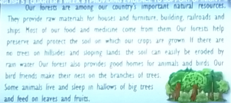 susrer 
Our forests are among our country's important natural resources. 
They provide raw material for houses and furniture, building, railroads and 
ships Most of our food and medicine come from them. Our lorests help 
preserve and protect the soi on which our crops are grown. If there are 
no trees on hillsides and sloping lands the soil can easily be eroded by 
rain water. Our forest also provides good homes for animals and birds. Our 
bird friends make their nest on the branches of trees. 
Some animals live and sleep in hallows of big trees 
and feed on leaves and fruits.