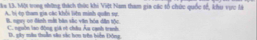 Mầu 13. Một trong những thách thức khi Việt Nam tham gia các tổ chức quốc tế, khu vực là
A. bị ép tham gia các khối liên minh quân sự.
B. nguy cơ đánh mắt bàn sắc văn hóa dân tộc.
C. nguồn lao động giá rẻ châu Âu cạnh tranh.
D. gây mâu thuần sâu sắc hơn trên biển Đông.