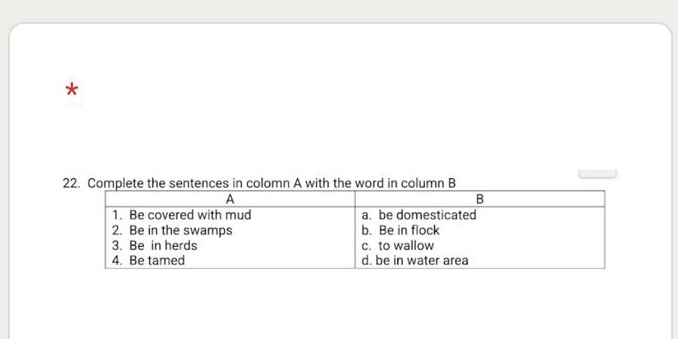 Complete the sentences in colomn A with the word in column B