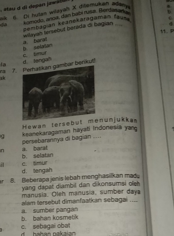 atau d di depan jawabal
aik 6. Di hutan wilayah X ditemukan adany
a
da komodo, anoa, dan babi rusa. Berdasarka
C.
pembagian keanekaragaman fauna. b
wilayah tersebut berada di bagian .
11. P
a. barat
b. selatan
c. timur
la d. tengah
ra 7.r berikut!
ak
Hewan tersebut unjukkan
g keanekaragaman hayati Indonesia yan
persebarannya di bagian ....
n a. barat
b. selatan
il c. timur
d. tengah
r 8. Beberapa jenis lebah menghasilkan madu
yang dapat diambil dan dikonsumsi o'eh
manusia. Oleh manusia, sumber daya
alam tersebut dimanfaatkan sebagai ....
a. sumber pangan
b. bahan kosmetik
c. sebagai obat
d bahan pakaian