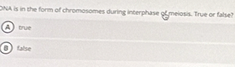 DNA is in the form of chromosomes during interphase of meiosis. True or false?
A true
Bfalse