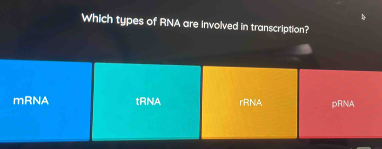 Which types of RNA are involved in transcription?
mRNA tRNA rRNA pRNA