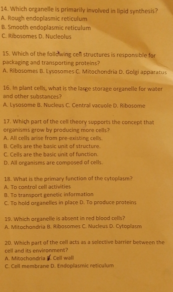 Which organelle is primarily involved in lipid synthesis?
A. Rough endoplasmic reticulum
B. Smooth endoplasmic reticulum
C. Ribosomes D. Nucleolus
15. Which of the following cell structures is responsible for
packaging and transporting proteins?
A. Ribosomes B. Lysosomes C. Mitochondria D. Golgi apparatus
16. In plant cells, what is the large storage organelle for water
and other substances?
A. Lysosome B. Nucleus C. Central vacuole D. Ribosome
17. Which part of the cell theory supports the concept that
organisms grow by producing more cells?
A. All cells arise from pre-existing cells.
B. Cells are the basic unit of structure.
C. Cells are the basic unit of function.
D. All organisms are composed of cells.
18. What is the primary function of the cytoplasm?
A. To control cell activities
B. To transport genetic information
C. To hold organelles in place D. To produce proteins
19. Which organelle is absent in red blood cells?
A. Mitochondria B. Ribosomes C. Nucleus D. Cytoplasm
20. Which part of the cell acts as a selective barrier between the
cell and its environment?
A. Mitochondria Cell wall
C. Cell membrane D. Endoplasmic reticulum