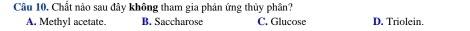 Chất nào sau đây không tham gia phản ứng thủy phân?
A. Methyl acetate. B. Saccharose C. Glucose D. Triolein.