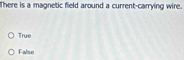 There is a magnetic field around a current-carrying wire.
True
False