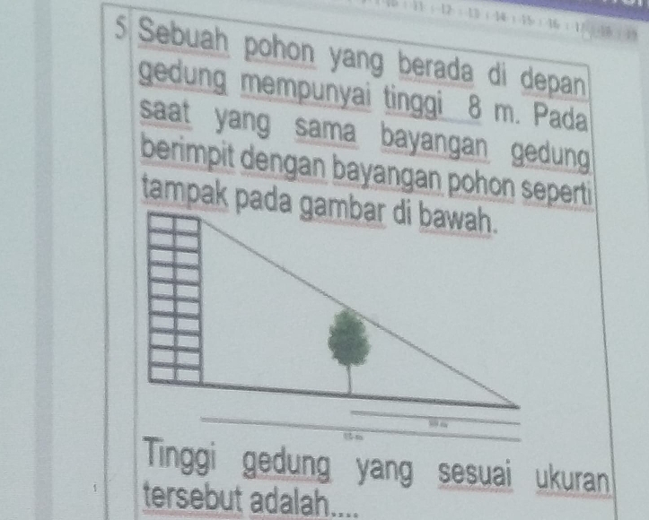 Sebuah pohon yang berada di depan 
gedung mempunyai tinggi 8 m. Pada 
saat yang sama bayangan gedung 
berimpit dengan bayangan pohon seperti 
Tinggi gedung yang sesuai ukuran 
tersebut adalah....