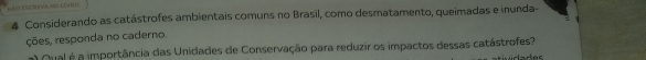 HAD ESCREWL NG LIYBD 
4 Considerando as catástrofes ambientais comuns no Brasil, como desmatamento, queimadas e inunda- 
ções, responda no caderno. 
Qual é a importância das Unidades de Conservação para reduzir os impactos dessas catástrofes?