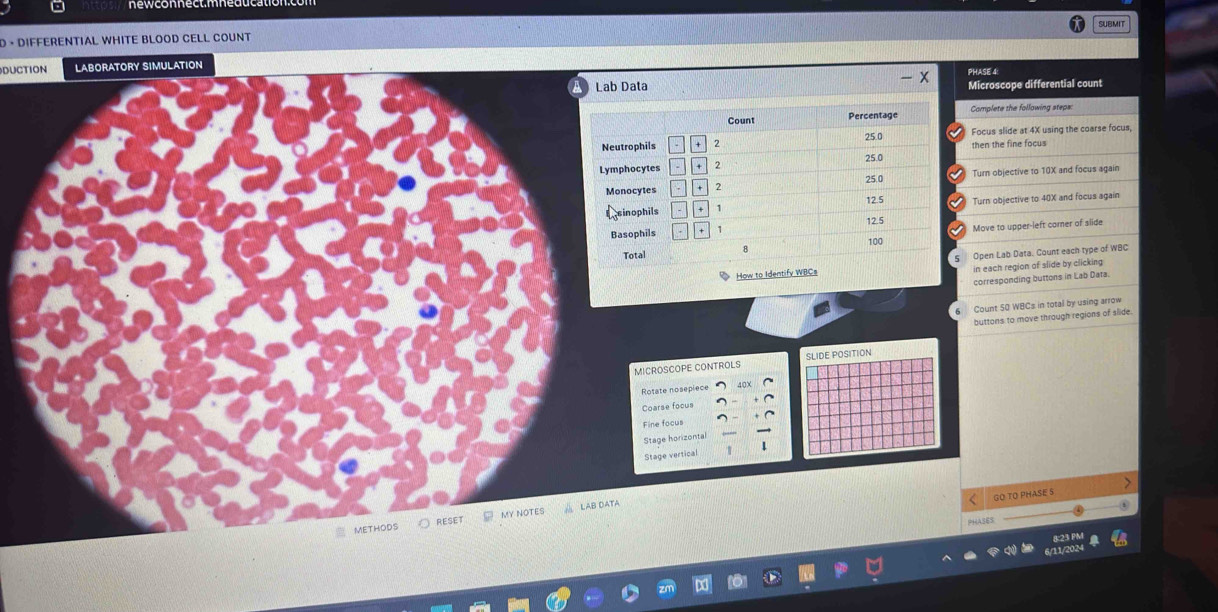 SUBMIT
D · DIFFERENTIAL WHITE BLOOD CELL COUNT
DUCTION LABORATORY SIMULATION - x
PHASE 4:
Lab Data Microscope differential count
Complete the following steps:
Focus slide at 4X using the coarse focus,
then the fine focus
Turn objective to 10X and focus again
Turn objective to 40X and focus again
Move to upper-left comer of slide
Open Lab Data. Count each type of WBC
How to Identify WBCs in each region of slide by clicking
corresponding buttons in Lab Data.
6 Count 50 WBCs in total by using arrow
buttons to move through regions of siide.
MICROSCOPE CONTROLS SLIDE POSITION
Rotate nosepiece
Coarse focus
Fine focus
Stage horizonta
Stage vertical
GO TO PHASE S
metHoDs RESET MY NOTES LAB DATA
PHASES