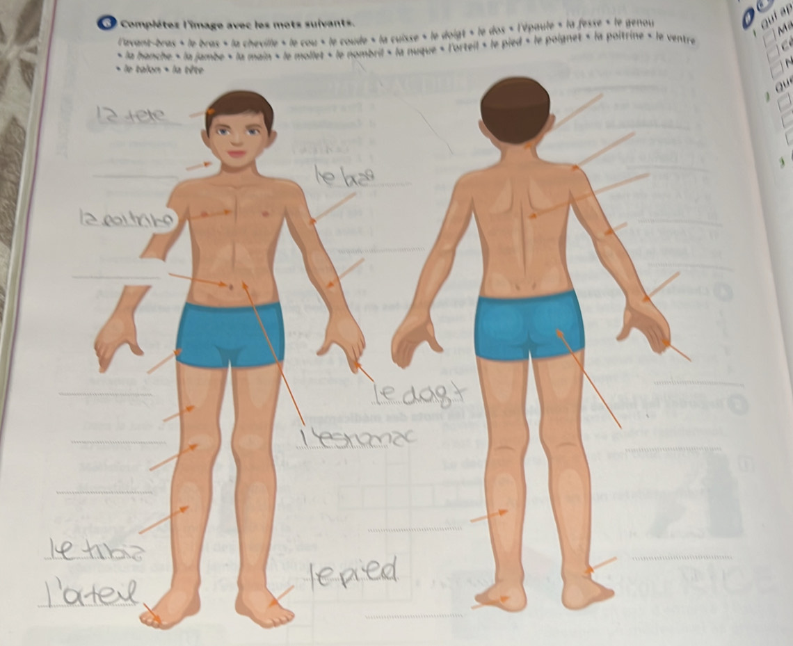 Complétes l'image avec les mots suivants. 
l'avant-bras « le bras « la cheville « le cou « le coude « la cuisse « le doigt « le dos « l'épaule « la fesse « le genou 
M 
la hanche « la jambe « la main « le mollet « le nombril « la nuque « l'orteil « le pied « le poignet « la poitrine « le ventre 
C 
au