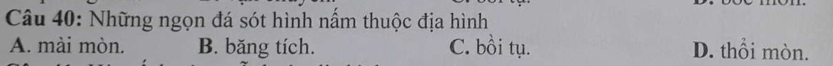 Những ngọn đá sót hình nấm thuộc địa hình
A. mài mòn. B. băng tích. C. bồi tụ. D. thổi mòn.