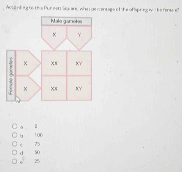 Solved: According to this Punnett Square, what percentage of the ...