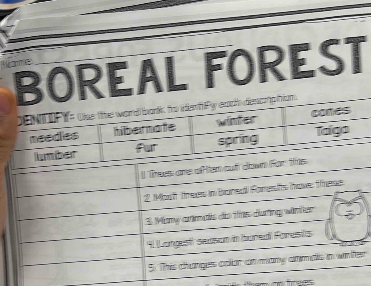 BOREAL FOREST 
ame 
r