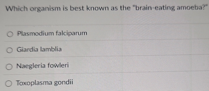 Which organism is best known as the “brain-eating amoeba?”
Plasmodium falciparum
Giardia lamblia
Naegleria fowleri
Toxoplasma gondii