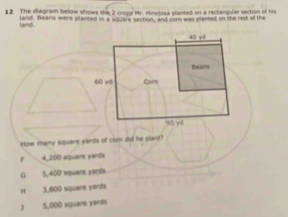 The diagram below shows the 2 crops Mr. Hinojosa planted on a rectangular section of his
land. Beans were planted in a square section, and corn was planted on the rest of the
land.
How many square yards of com did he plant?
F 4,200 square yards
G 5,400 square yards
H 3,800 square yards
) 5,000 square yards