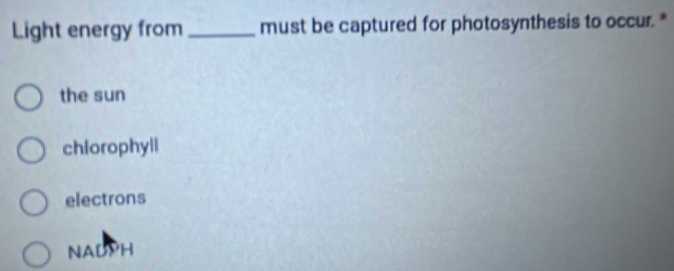 Light energy from _must be captured for photosynthesis to occur. *
the sun
chlorophyll
electrons
NADPH