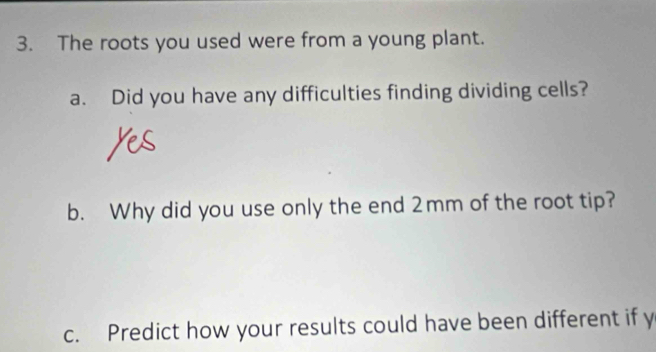 The roots you used were from a young plant. 
a. Did you have any difficulties finding dividing cells? 
b. Why did you use only the end 2mm of the root tip? 
c. Predict how your results could have been different if y