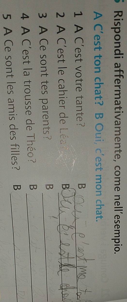 Rispondi affermativamente, come nell’esempio.
A C’est ton chat? B Oui, c’est mon chat.
1 A C'est votre tante? B_
2 A C'est le cahier de Léa B_
3 A Ce sont tes parents?_
B
4 A C'est la trousse de Théo? B_
5 A Ce sont les amis des filles? B_