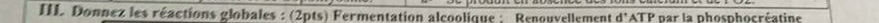 III Donnez les réactions globales : (2pts) Fermentation alcoolique : Renouvellement d° ATP par la phosphocréatine