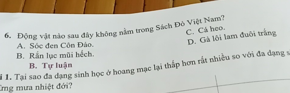 Động vật nào sau đây không nằm trong Sách Đỏ Việt Nam?
C. Cá heo.
A. Sóc đen Côn Đảo.
D. Gà lôi lam đuôi trắng
B. Rắn lục mũi hếch.
i 1. Tại sao đa dạng sinh học ở hoang mạc lại thấp hơn rất nhiều so với đa dạng s B. Tự luận
ừng mưa nhiệt đới?