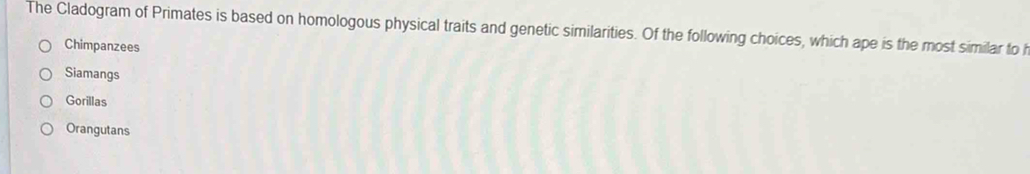 The Cladogram of Primates is based on homologous physical traits and genetic similarities. Of the following choices, which ape is the most similar to h
Chimpanzees
Siamangs
Gorillas
Orangutans