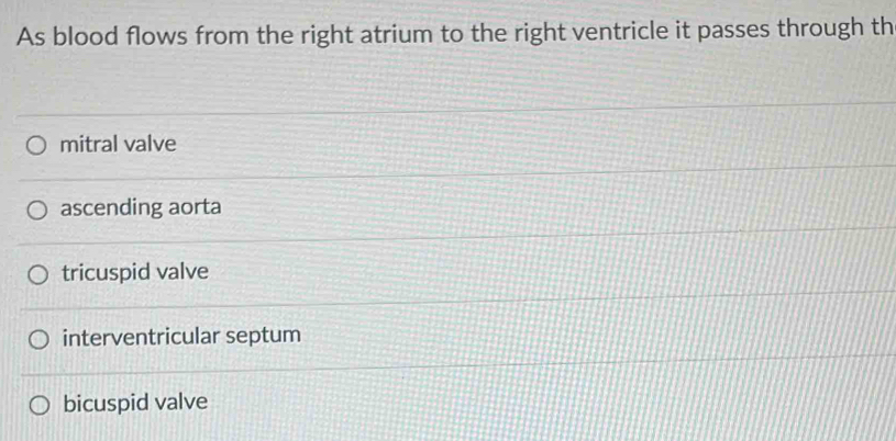 As blood flows from the right atrium to the right ventricle it passes through th
mitral valve
ascending aorta
tricuspid valve
interventricular septum
bicuspid valve