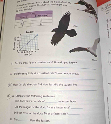 se the a 
A researcher recorded facts about the flight of a duck 
our. a crow and a seagull. The duck's rate of flight was 

a
hours

5
Crow
2
1
Seaqull 
3. Did the crow fly at a constant rate? How do you know? 
_ 
4. Did the seagull fly at a constant rate? How do you know? 
_ 
⑤. How fast did the crow fly? How fast did the seagull fly? 
10. 
_ 
6. A. Complete the following sentences. 

The duck flew at a rate of _ miles per hour. 
Did the seagull or the duck fly at a faster rate?_ 
Did the crow or the duck fly at a faster rate?_ 
B. The_ flew the fastest.