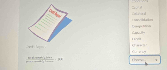 Conditions
Capital
Collateral
Consolidation
Competition
Capacity
Credit
Credit Report Character
Currency
 (totalmonthly.debts)/gross.monthly.income · 100
Choose... ;