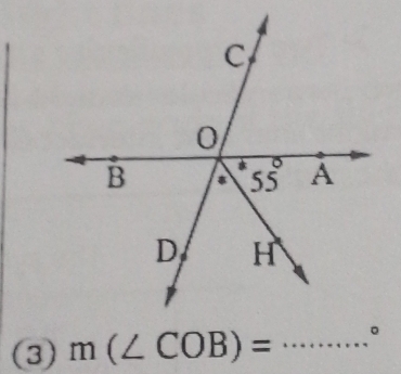 (3) m(∠ COB)= _