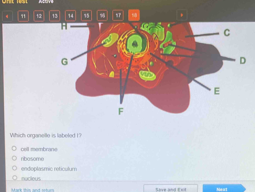 Unit lest Active
11 12 13 14 15 16 17 18
Which organelle is labeled I?
cell membrane
ribosome
endoplasmic reticulum
nucleus
Mark this and return Save and Exit Next